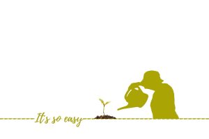 discover tips and techniques for sustainable gardening to create an eco-friendly and thriving garden that conserves resources and supports biodiversity.