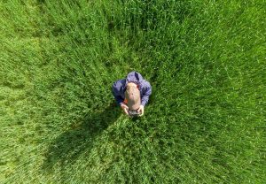 discover the benefits of drone mapping for accurate and efficient aerial surveys, data collection, and geographic analysis.